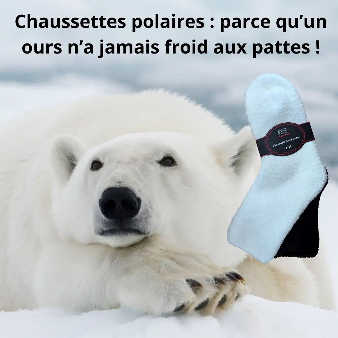 Ours polaire sur la banquise et chaussettes polaires blanche et noire pour femme 